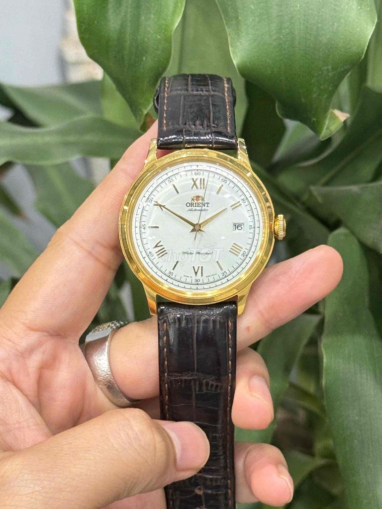 Đồng hồ Orient Bambino Gen 2 Nam. Mua bán Đồng hồ tại Quận Ba Đình Hà Nội được đăng bởi Nguyễn Đức Anh hình 1