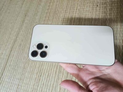 iPhone 12 Vàng, Cần bán. Mua bán Điện thoại tại Huyện Quế Sơn Quảng Nam được đăng bởi Trường Nhật Nguyễn