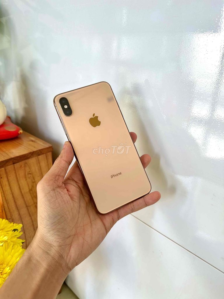 Apple iPhone XS Max 256GB Vàng đồng. Mua bán Điện thoại tại Thành phố Long Xuyên An Giang được đăng bởi phong LX  hình 1