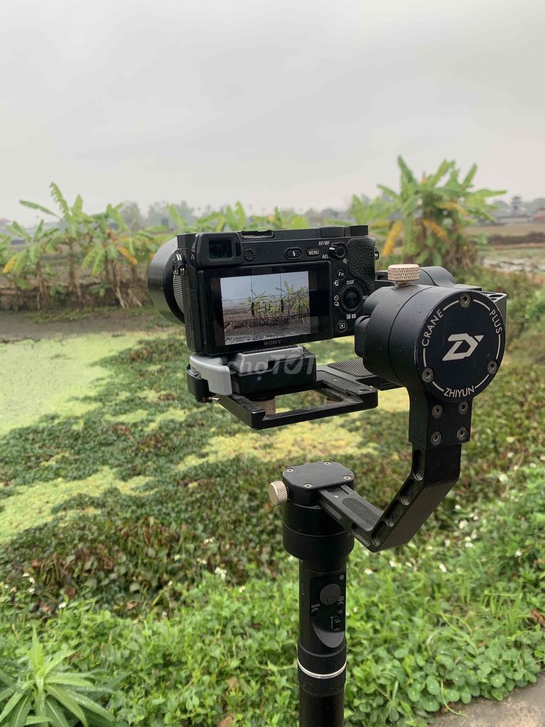 gimbal chống rung