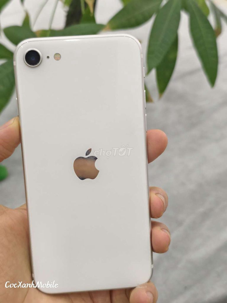 iPhone SE 2020 128GB Trắng zin đẹp 99%, Pin 93%. Mua bán Điện thoại tại Quận Liên Chiểu Đà Nẵng được đăng bởi Minh Hiệp CócXanhMobile hình 1