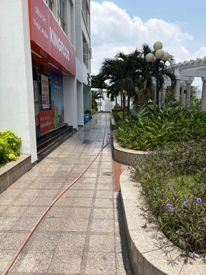 Cho Thuê Shophouse 35m , Hoàng Thanh Bình, Q7