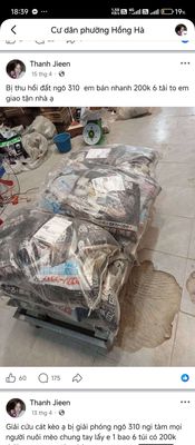 Cát vệ sinh mèo 6 túi