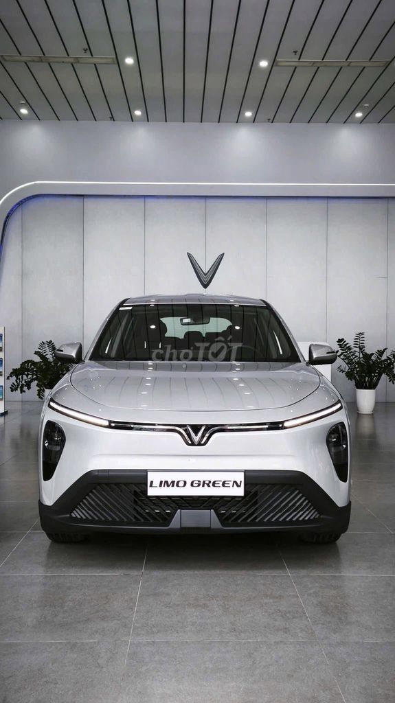 VinFast Limo Green 2025. Mua bán Ô tô tại Huyện Xuyên Mộc Bà Rịa - Vũng Tàu được đăng bởi cuong Nguyen hình 3