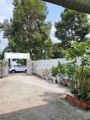 cho thuê nhà cấp 4, làm kinh doanh hoặc văn phòng. Cho thuê văn phòng, mặt bằng kinh doanh tại Thành phố Tân An Long An được đăng bởi Hai Le