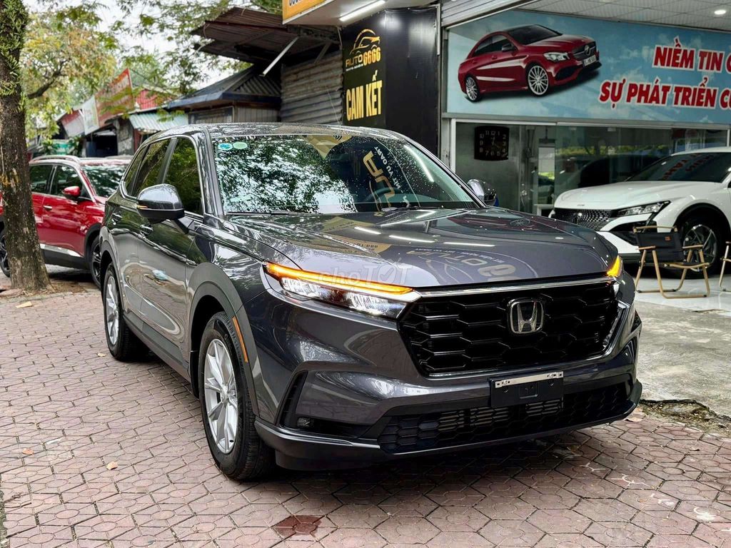 Ảnh số 2