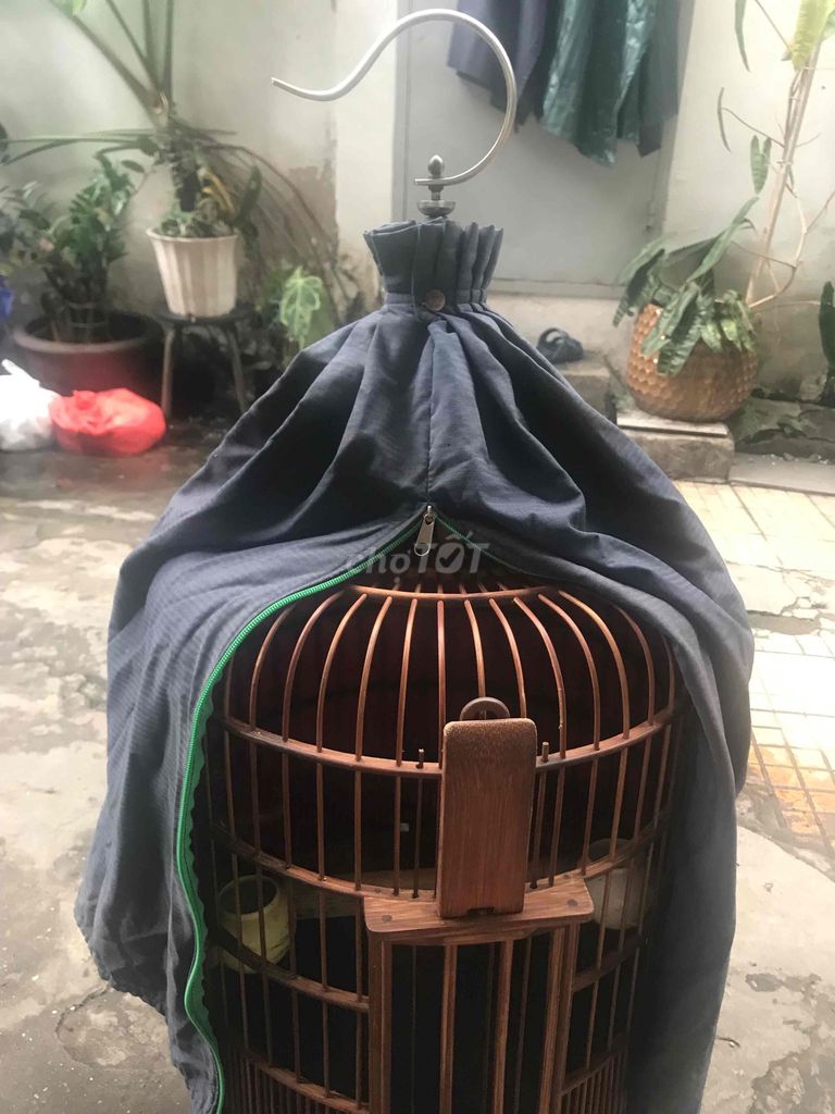 Lồng chim Tre 60 nan. Mua bán Phụ kiện, Thức ăn, Dịch vụ tại Quận Phú Nhuận Tp Hồ Chí Minh được đăng bởi Lập huỳnh hình 1