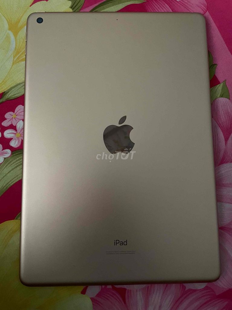 Ipad gen 8 bán or gl điện thoại. Mua bán Máy tính bảng tại Huyện Mỏ Cày Nam Bến Tre được đăng bởi Trọng Nguyễn hình 1