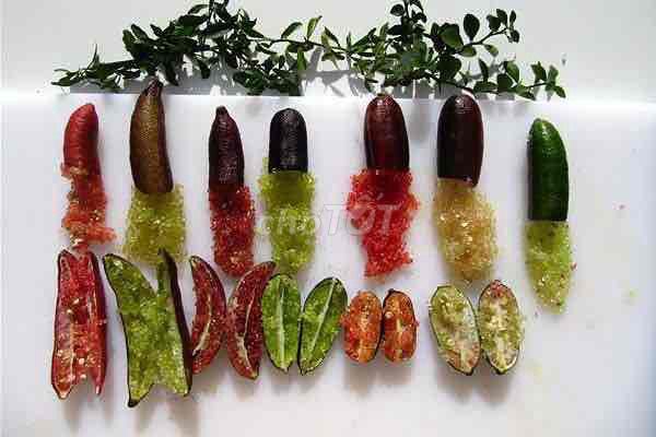 Cây giống Chanh ngón tay. Mua bán Đồ chuyên dụng, Giống nuôi trồng tại Huyện Sông Lô Vĩnh Phúc được đăng bởi Nhà vườn Ngọc Trang hình 1