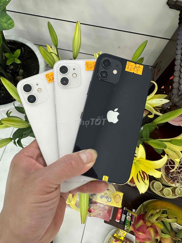 Apple iPhone 12 64GB/128GB Đen/Trắng. Mua bán Điện thoại tại Quận Cầu Giấy Hà Nội được đăng bởi thành hình 1