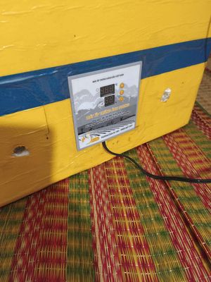 Máy ấp trứg tự độg của ánh Dươg 200 trứg có gl gà. Mua bán Phụ kiện, Thức ăn, Dịch vụ tại Huyện Phong Điền Cần Thơ được đăng bởi corona f7