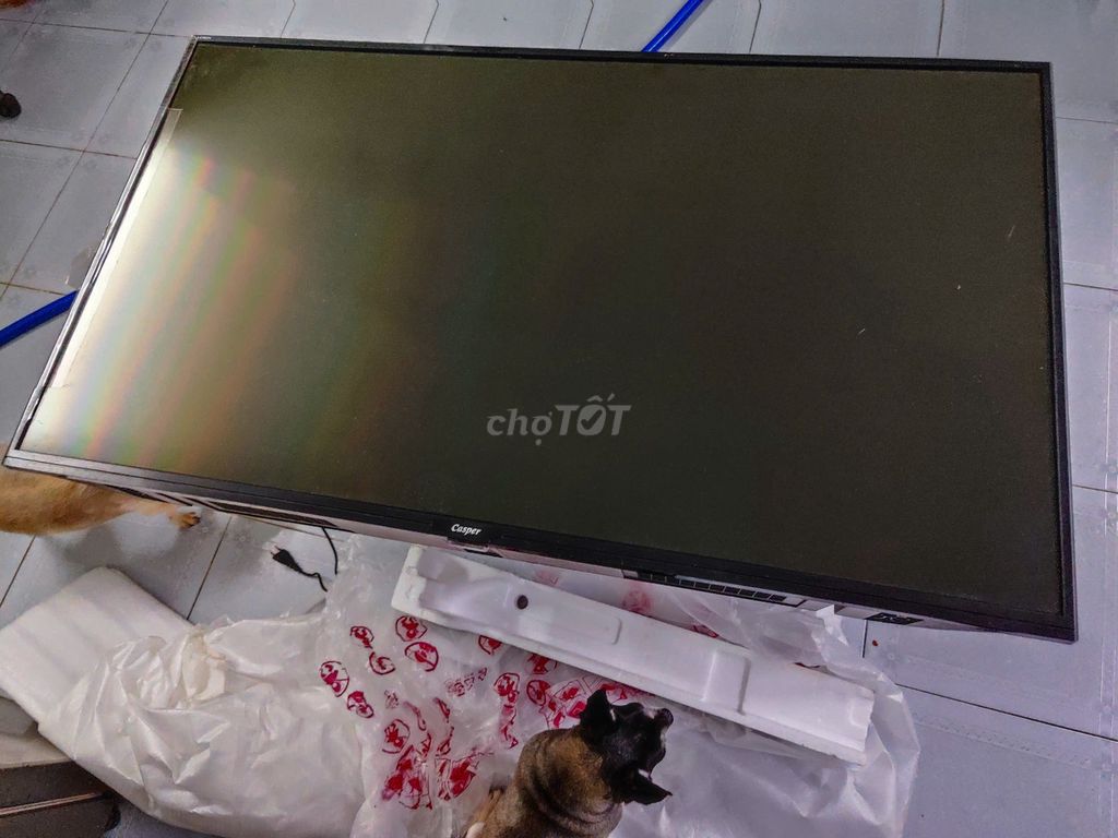 chủ nhật sale:android tv 43in date 2022