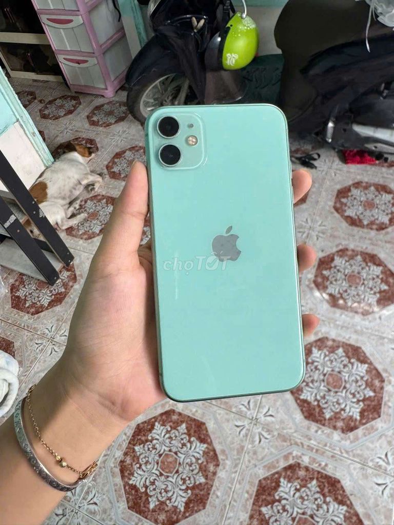 iPhone 11, 64GB, đẹp, full cn. Mua bán Điện thoại tại Thành phố Thủ Dầu Một Bình Dương được đăng bởi Phước Mobile hình 1