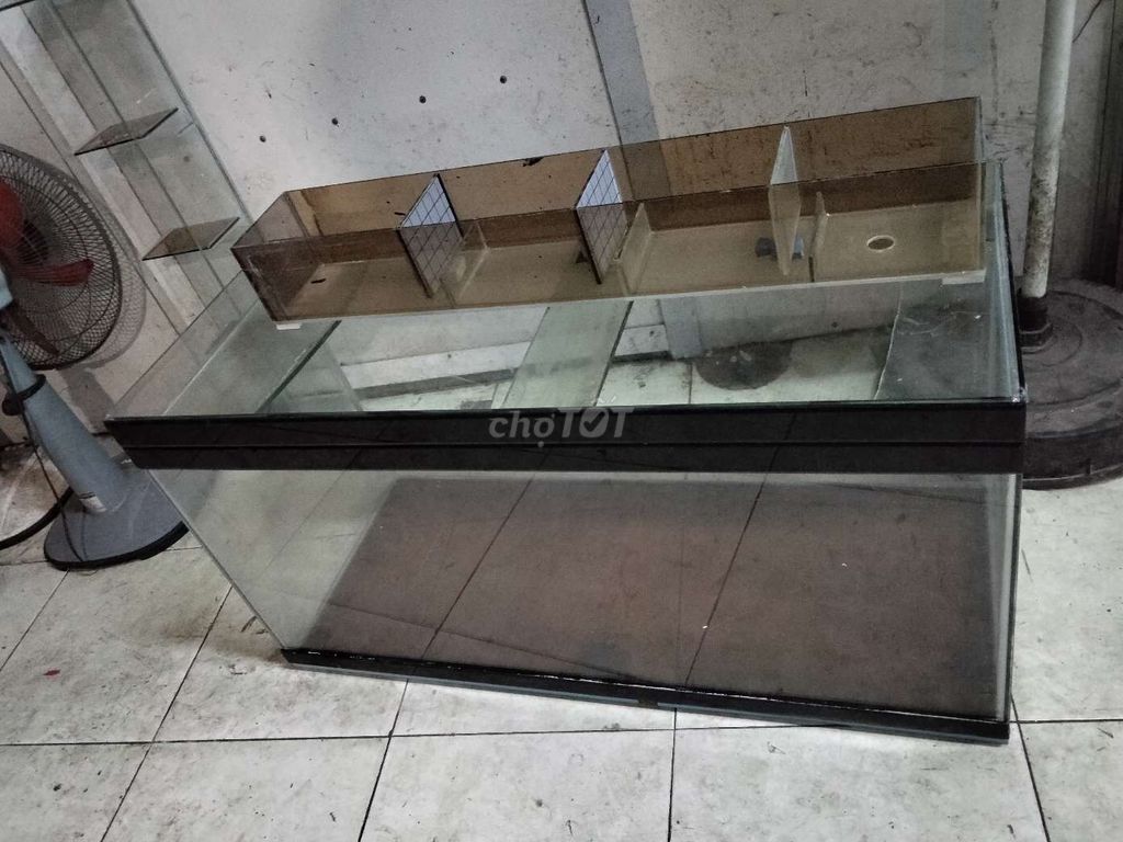 Bể  1m x 40cm x 50cm thành 5 đáy 8 và lọc tràn . Mua bán Phụ kiện, Thức ăn, Dịch vụ tại Quận 8 Tp Hồ Chí Minh được đăng bởi Núi hình 1