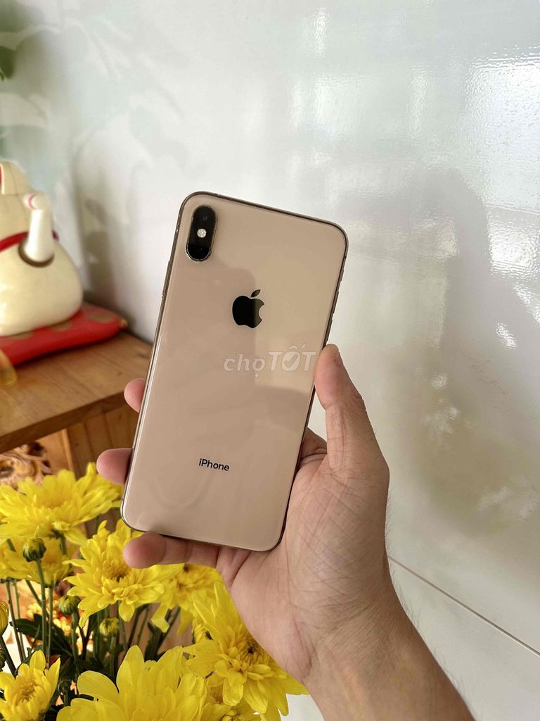 Apple iPhone Xs Max 256GB Vàng. Mua bán Điện thoại tại Thành phố Long Xuyên An Giang được đăng bởi phong LX  hình 1