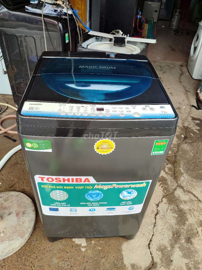 Toshipa 8kg2 đờ cao