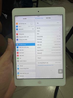 ipad mini 1 16g