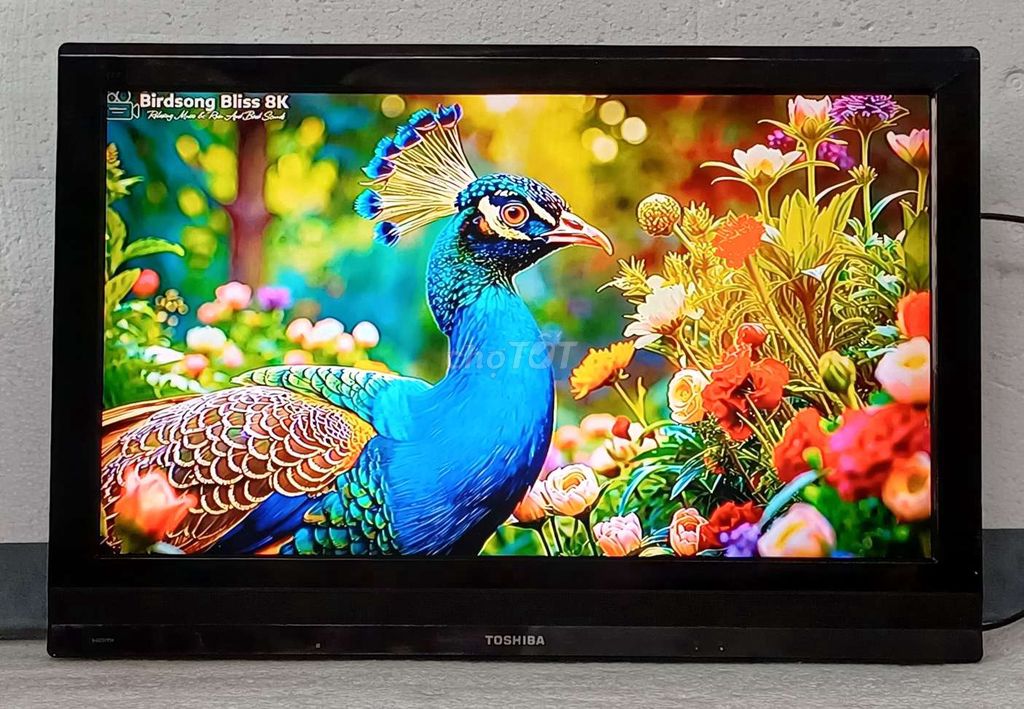 Tivi Toshiba 32 inch có remote giọng nói. Mua bán Tivi, Âm thanh tại Quận Ninh Kiều Cần Thơ được đăng bởi Luật Nguyễn hình 1