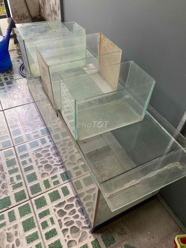 Bể cá kính lớn đã qua sử dụng. Mua bán Phụ kiện, Thức ăn, Dịch vụ tại Quận Thanh Khê Đà Nẵng được đăng bởi Nguyệt hình 1