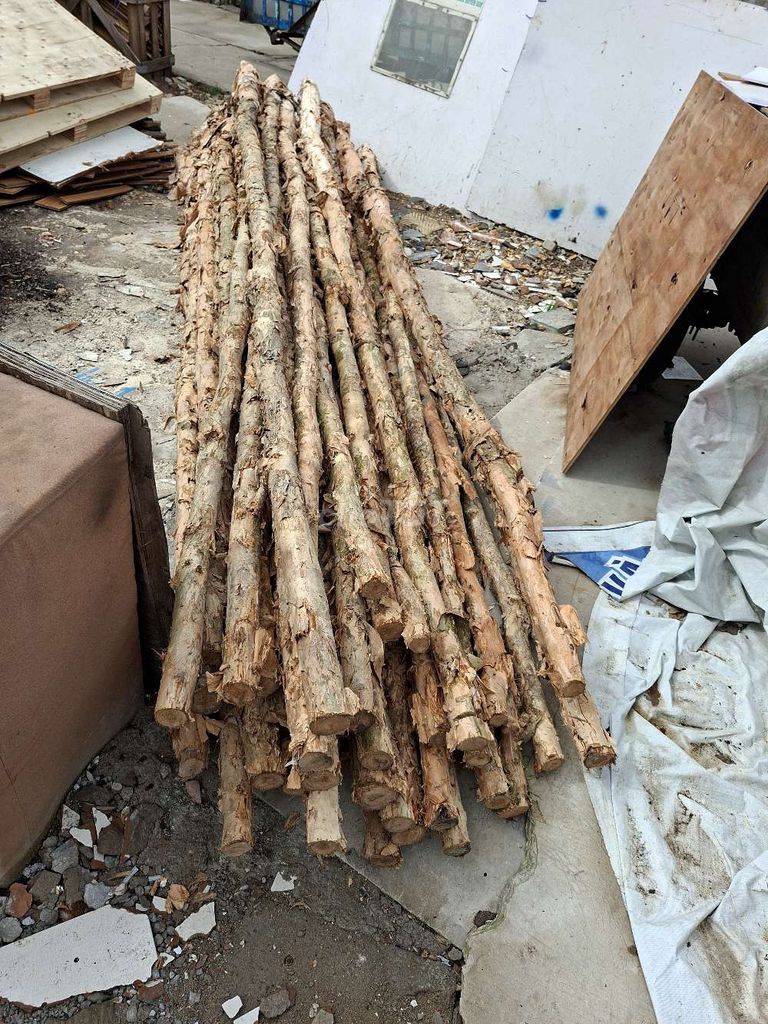 Gỗ tròn Gỗ tự nhiên Nâu Trang trí. Mua bán Nội thất, đồ gia dụng khác tại Quận Bình Tân Tp Hồ Chí Minh được đăng bởi Dang van do hình 1