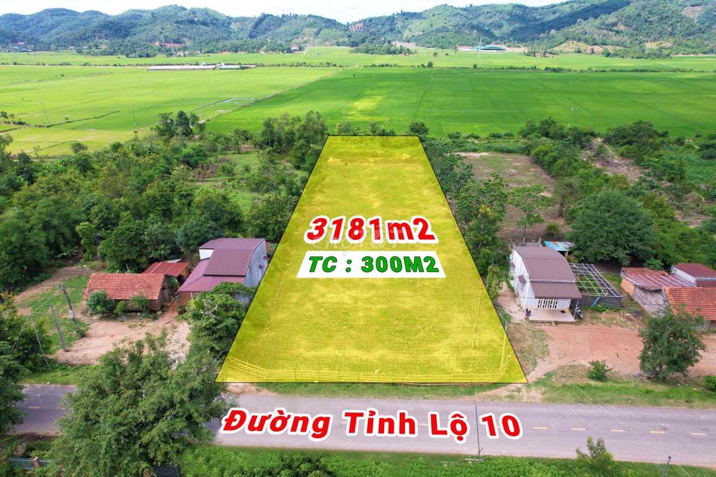 3,2 sào (28x114) TC300m MT Tỉnh Lộ 10 Ea Bông view ruộng 2,24 tỷ