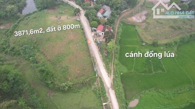 CẦN BÁN LÔ ĐẤT 3871M2 VỊ TRÍ ĐẸP XÃ CAO SƠN GIÁ RẺ. Mua bán đất tại Huyện Lương Sơn Hòa Bình được đăng bởi Bùi Văn Dũng 