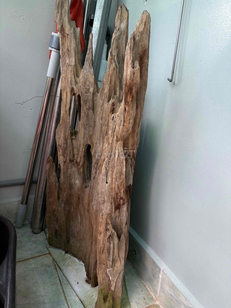 cần thanh lý hồ cá kèm lọc. Mua bán Phụ kiện, Thức ăn, Dịch vụ tại Quận Bình Thạnh Tp Hồ Chí Minh được đăng bởi Minh hình 1