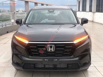 Honda CRV L 2025 - 1 Tỷ 31 Triệu. Mua bán Ô tô tại Quận Hoàng Mai Hà Nội được đăng bởi Quang Thị Thủy