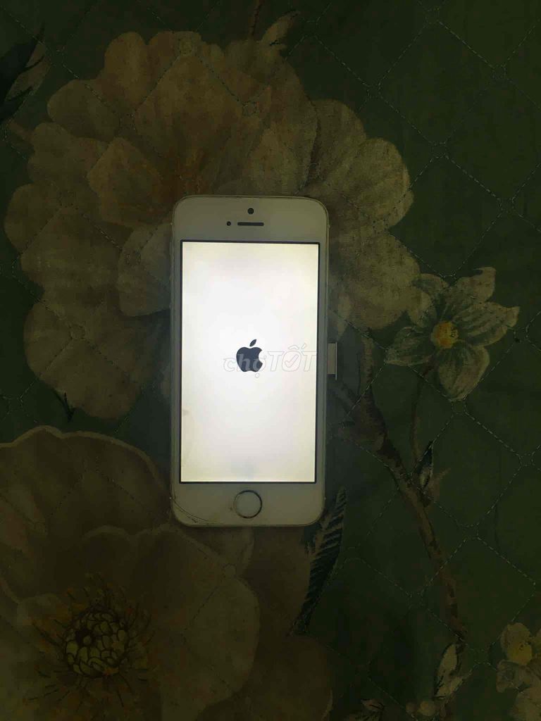 Apple iPhone 5 Trắng Hỏng. Mua bán Điện thoại tại Huyện Nhà Bè Tp Hồ Chí Minh được đăng bởi Dương Hoàng thái Dương hình 1