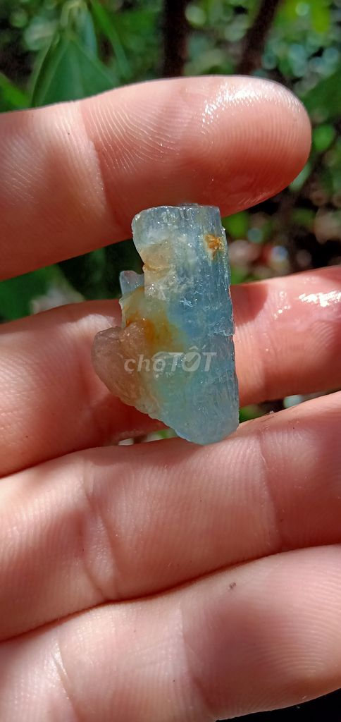 0904313772 - Bán tinh thể đá quý aquamarine cộng sinh tourmalin