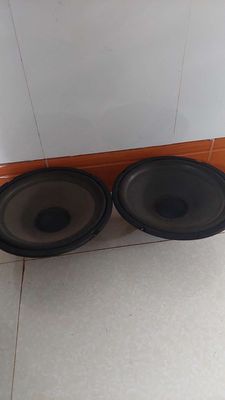 Cặp loa bass 25cm. Mua bán Tivi, Âm thanh tại Thành phố Buôn Ma Thuột Đắk Lắk được đăng bởi Lê minh quý