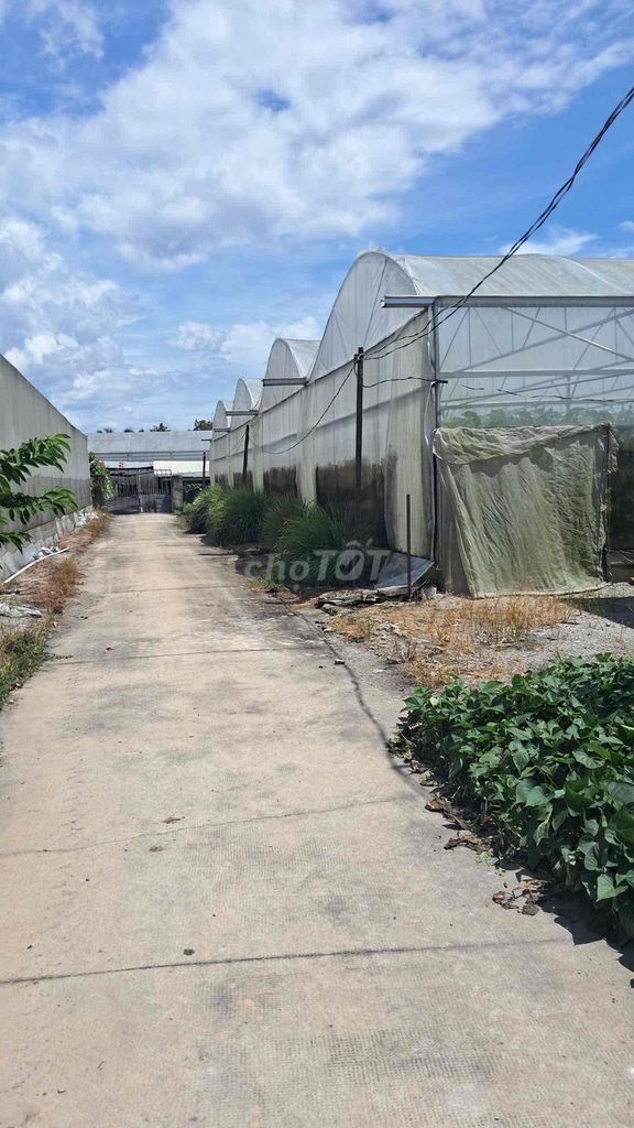 đất an bình phú giáo bình dương