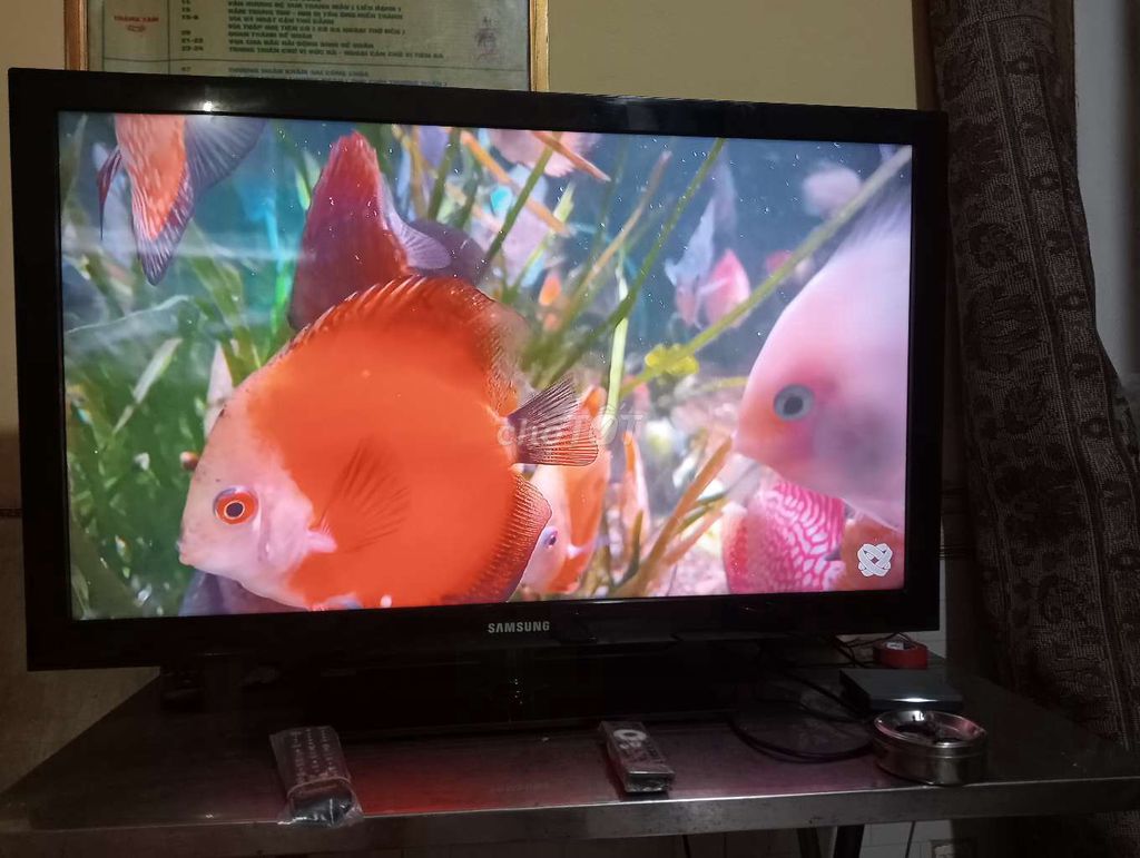 Tivi SamSung 40inch