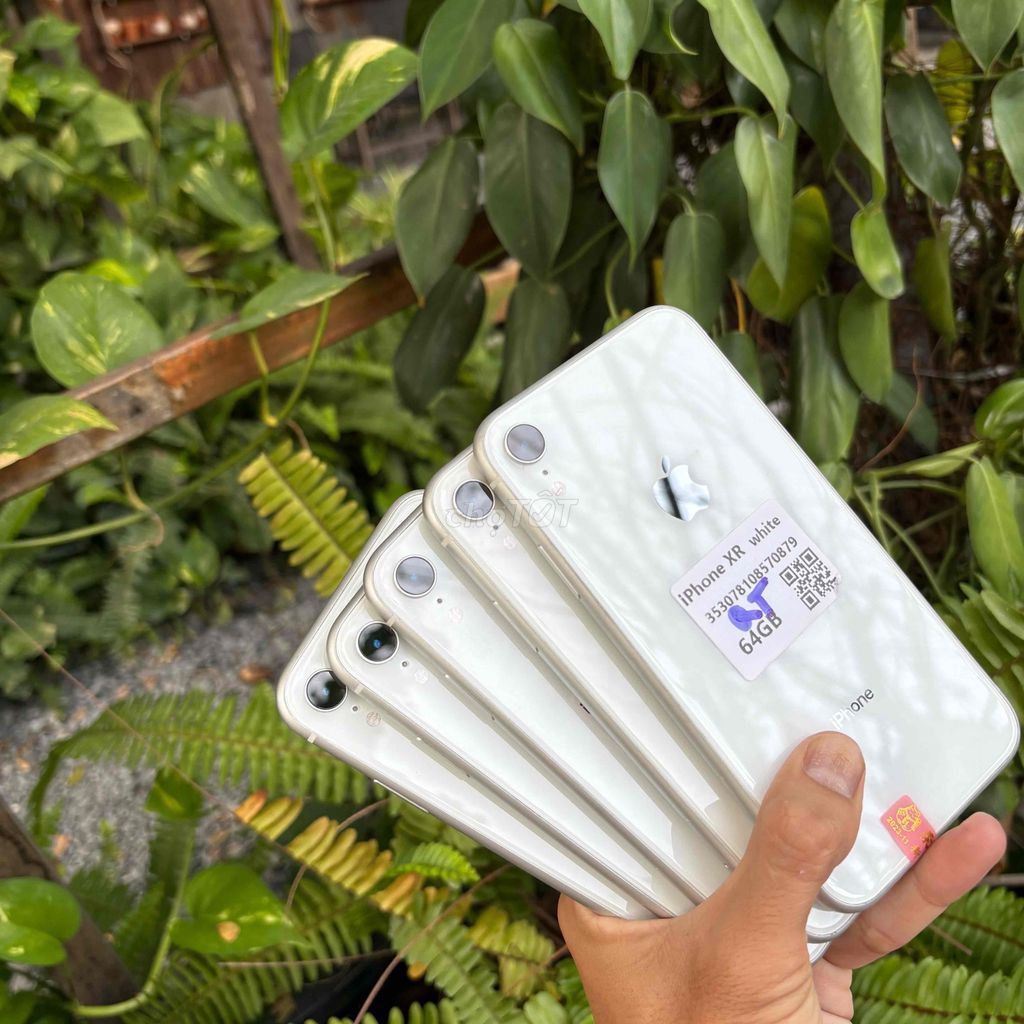 Apple iPhone XR 64GB Trắng 99%. Mua bán Điện thoại tại Quận Ninh Kiều Cần Thơ được đăng bởi Tâm mobile hình 1