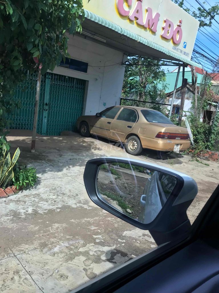 Ảnh số 6