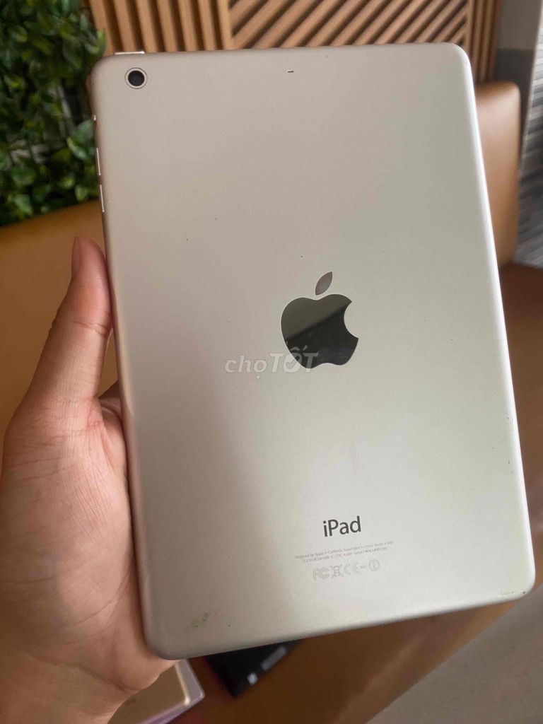 Mini 2 16GB 8inch (Apple)