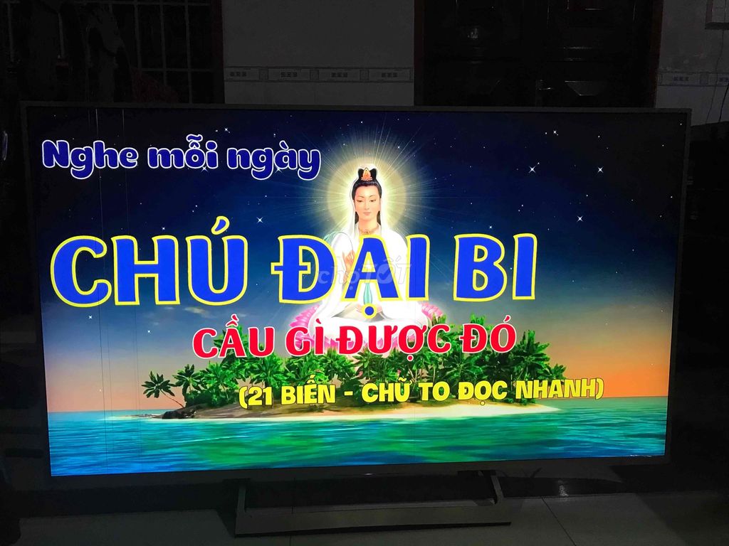 Tivi Sony 55 inch có giọng nói. Mua bán Tivi, Âm thanh tại Huyện Đất Đỏ Bà Rịa - Vũng Tàu được đăng bởi Thiện Lành hình 1