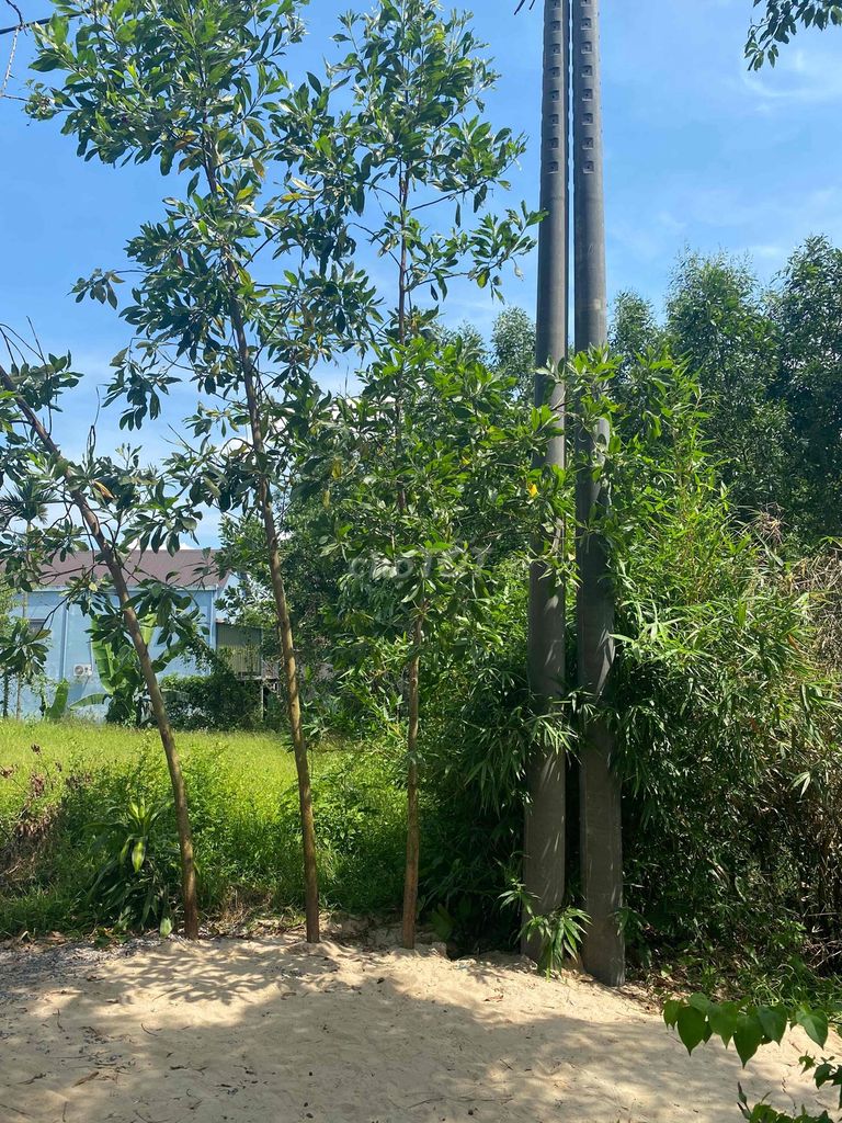 Hyundai Verna 2009 1.4 MT - 190000 km. Mua bán Ô tô tại Thành phố Đông Hà Quảng Trị được đăng bởi Trần Văn Hoàng hình 12