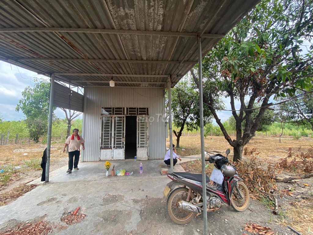 Đất xuân hưng 4600 m2
