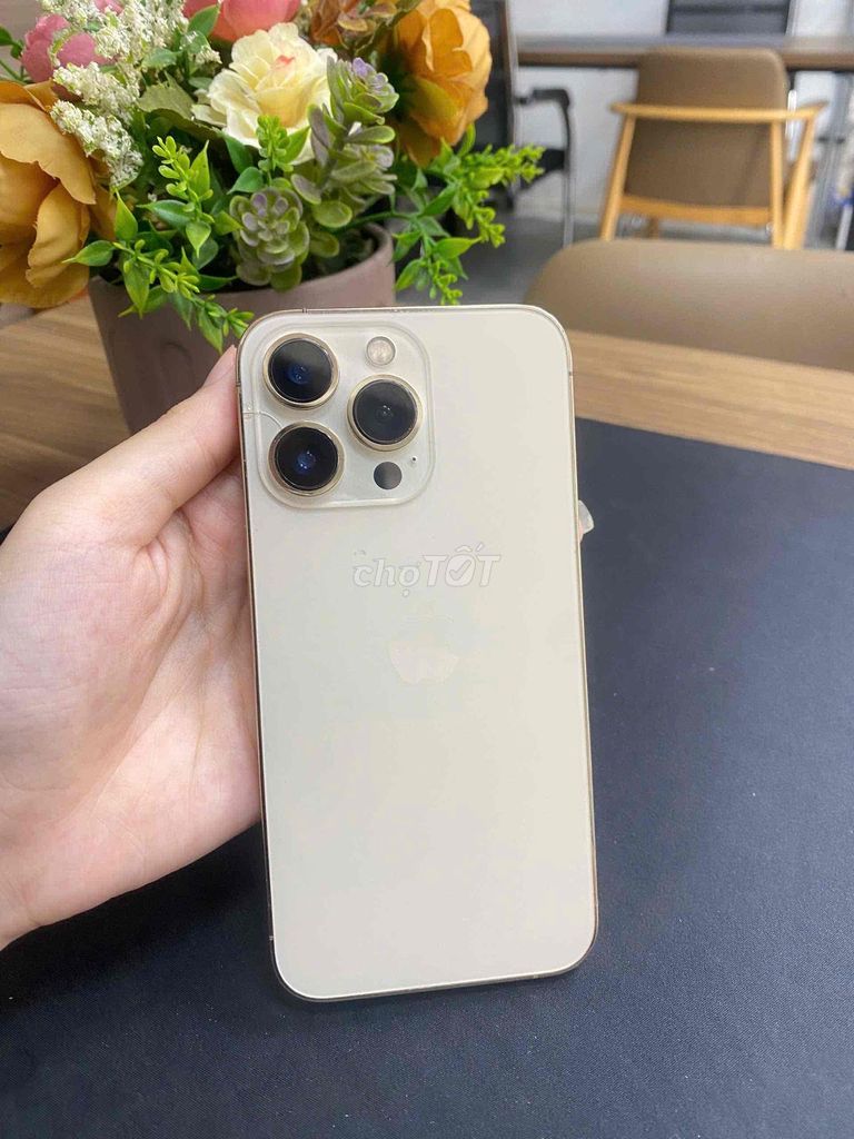 iPhone 13 Pro 128GB Vàng. Mua bán Điện thoại tại Quận Ninh Kiều Cần Thơ được đăng bởi Mr.T Mobile hình 1