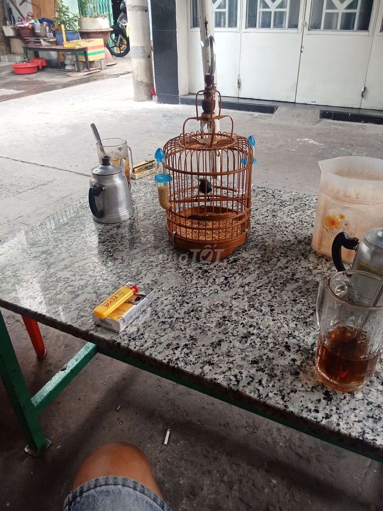 Chim hút mật 5 màu 2 mùa. Mua bán Chim tại Quận Bình Tân Tp Hồ Chí Minh được đăng bởi gọi nhé  hình 1