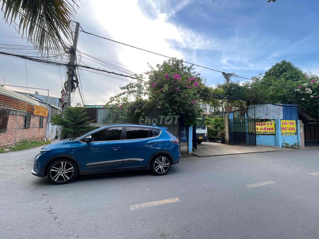 Ảnh số 6