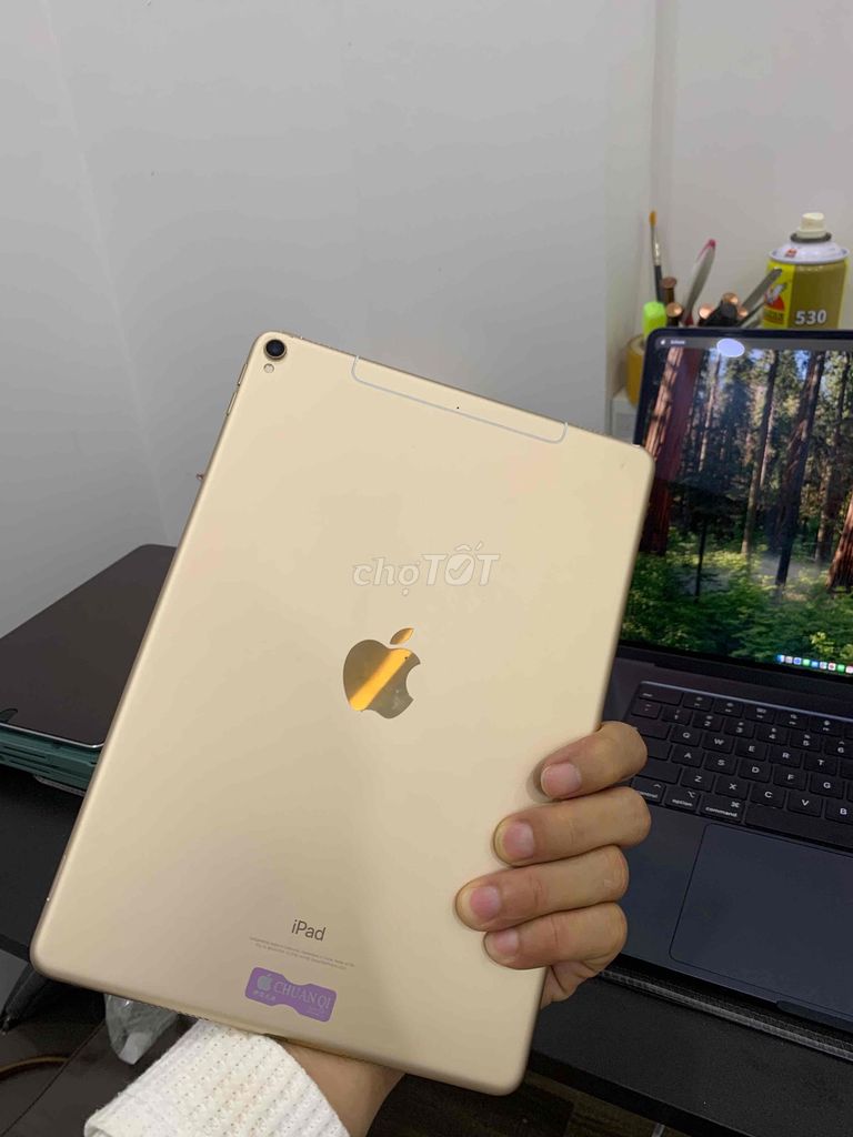 Apple iPad Pro 10.5 64GB Vàng 120Hz. Mua bán Máy tính bảng tại Thành phố Cam Ranh Khánh Hòa được đăng bởi thái hình 1