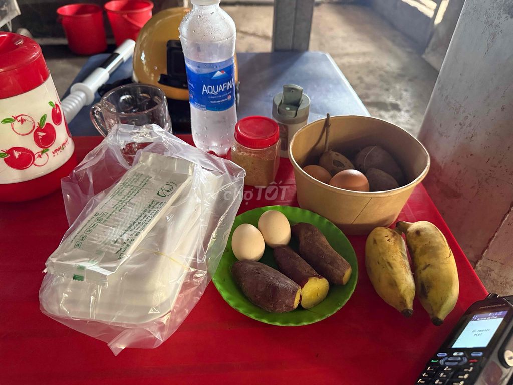 Bồ câu thương phẩm khoẻ mạnh. Mua bán Chim tại Quận 1 Tp Hồ Chí Minh được đăng bởi Khang Bách hình 1