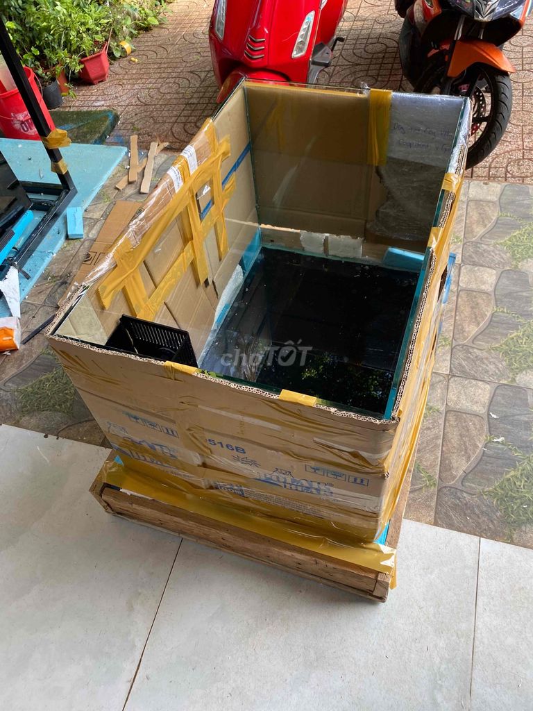 Bể cá kính 8 ly 80x50x50cm. Mua bán Thú cưng khác tại Quận Nam Từ Liêm Hà Nội được đăng bởi nguyễn lê công tuấn hình 1