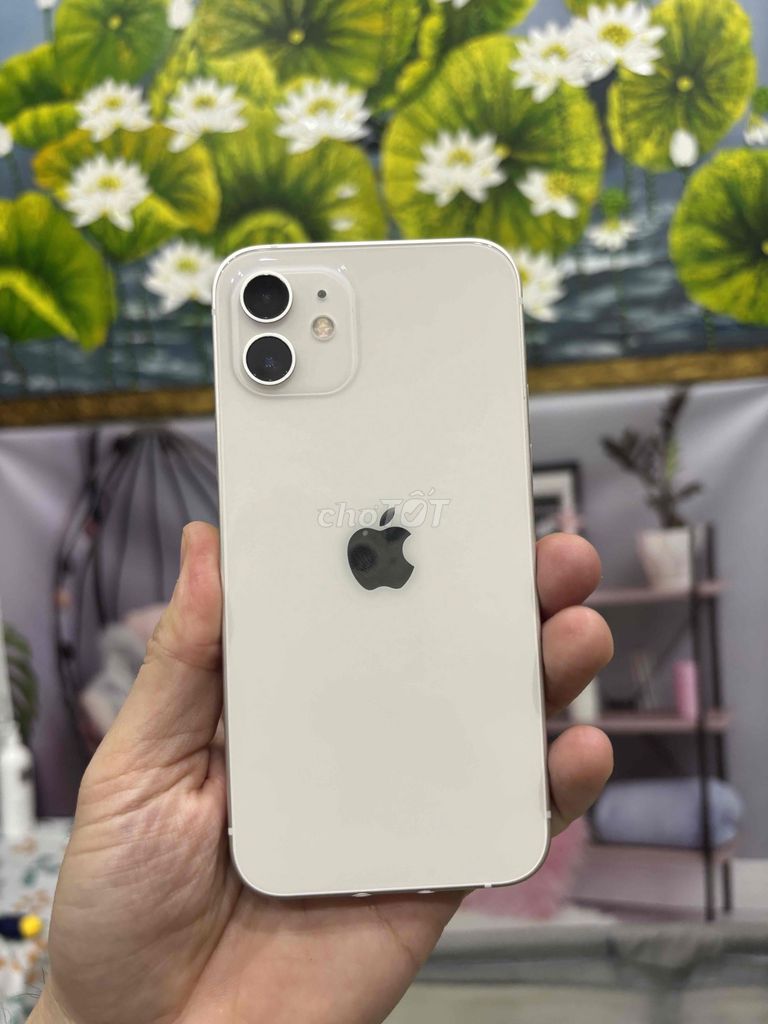 Apple iPhone 12 256GB Trắng. Mua bán Điện thoại tại Quận Bắc Từ Liêm Hà Nội được đăng bởi Bính táo hình 1
