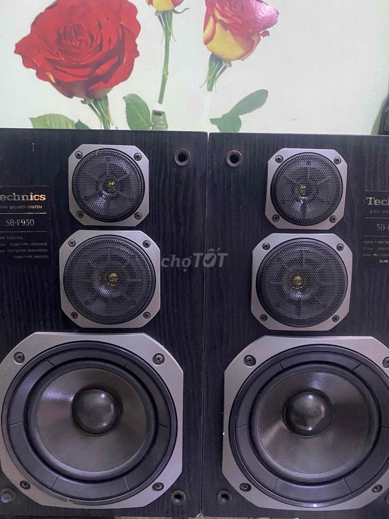 Loa Technics SB-F950 Đen. Mua bán Tivi, Âm thanh tại Quận 10 Tp Hồ Chí Minh được đăng bởi Kiệt  hình 1