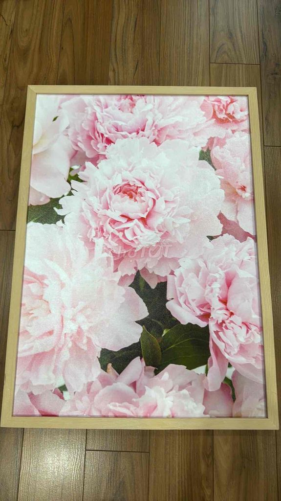 Tranh gỗ canvas Hoa mẫu đơn hồng trang trí. Mua bán Cây cảnh, đồ trang trí tại Quận Hoàng Mai Hà Nội được đăng bởi Oto hình 1