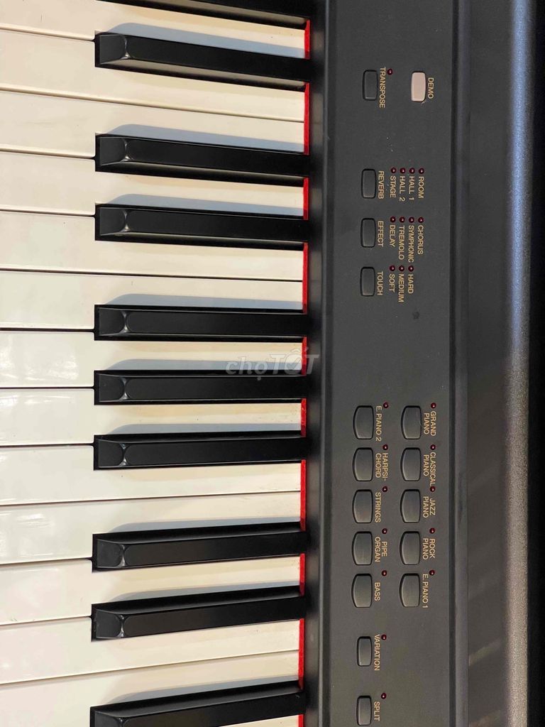 Đàn Piano Yamaha CLP-860 phù hợp cho bé mới học.