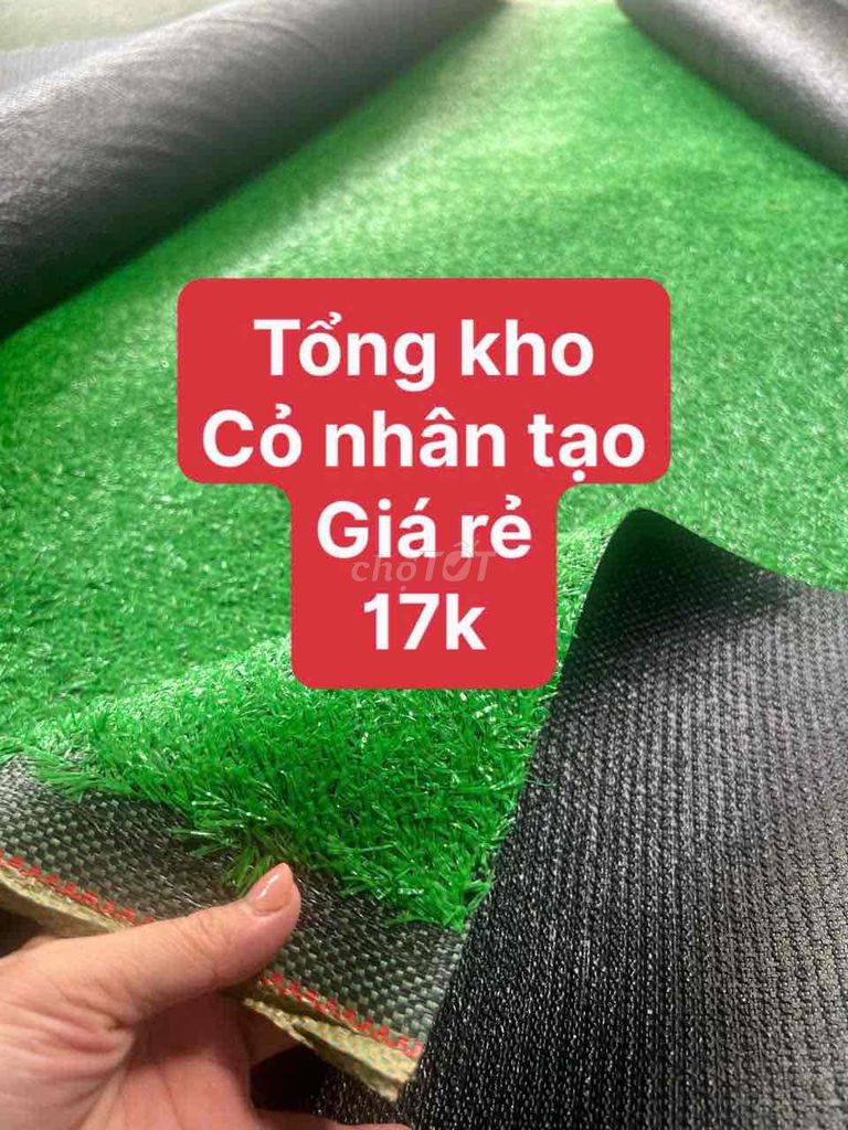 Cỏ nhân tạo nhựa xanh lá. Mua bán Cây cảnh, đồ trang trí tại Quận Tân Bình Tp Hồ Chí Minh được đăng bởi Cỏ nhân tạo cc hình 1